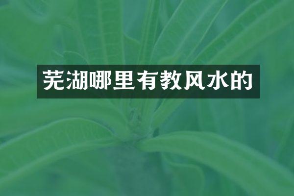芜湖哪里有教风水的