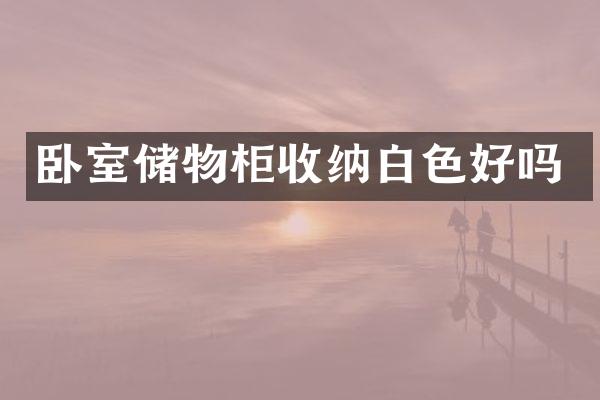 卧室储物柜收纳白色好吗