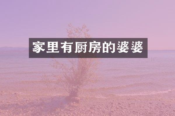 家里有厨房的婆婆