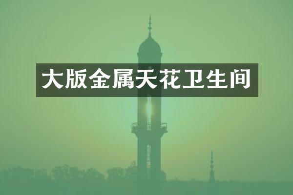 大版金属天花卫生间
