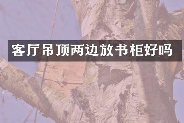 客厅吊顶两边放书柜好吗