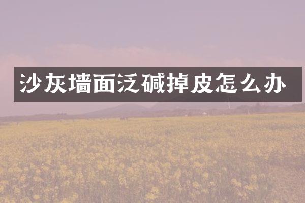 沙灰墙面泛碱掉皮怎么办