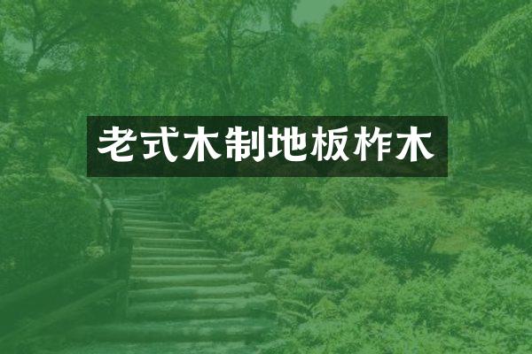 老式木制地板柞木