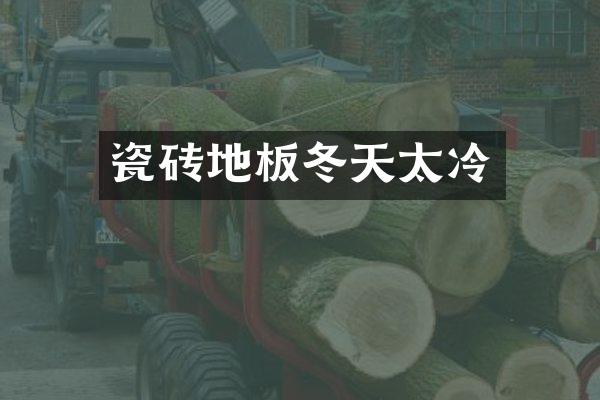 瓷砖地板冬天太冷