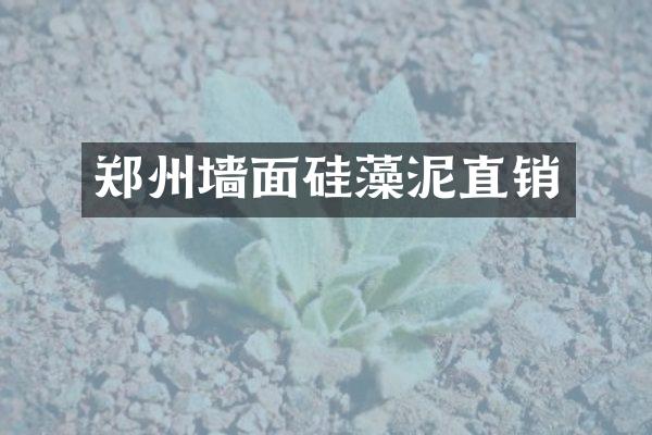 郑州墙面硅藻泥直销