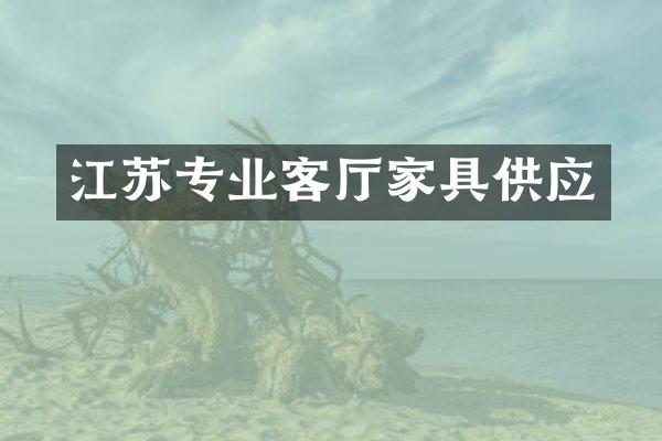 江苏专业客厅家具供应