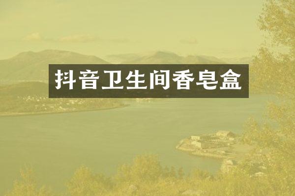 抖音卫生间香皂盒