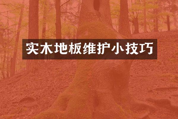 实木地板维护小技巧