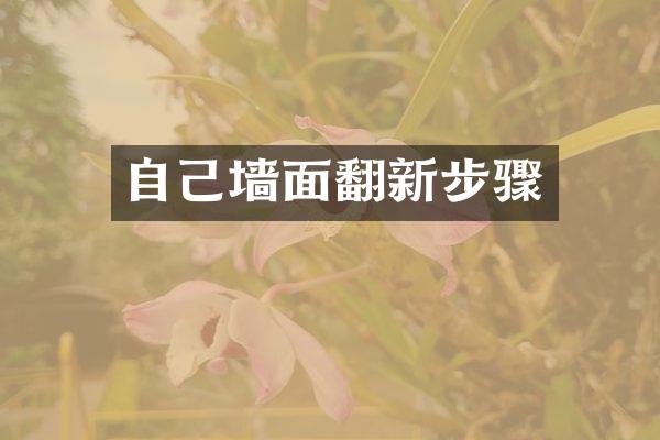 自己墙面翻新步骤