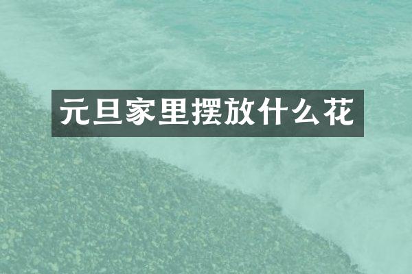 元旦家里摆放什么花