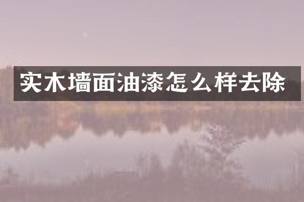 实木墙面油漆怎么样去除