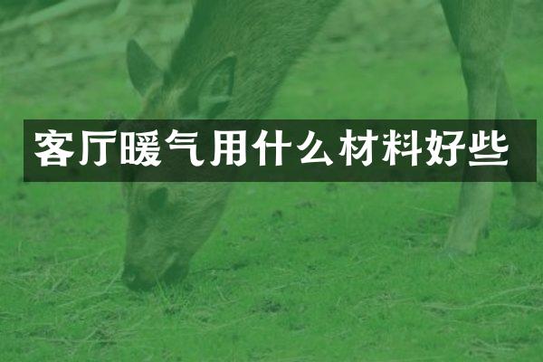 客厅暖气用什么材料好些
