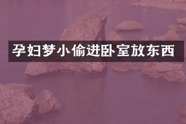 孕妇梦小偷进卧室放东西