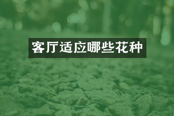 客厅适应哪些花种