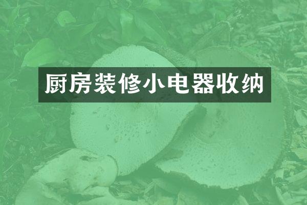 厨房装修小电器收纳