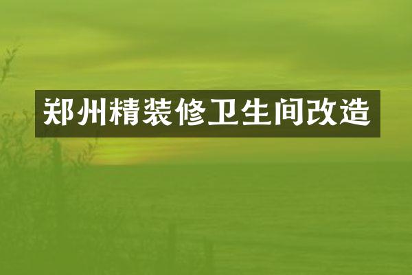 郑州精装修卫生间改造