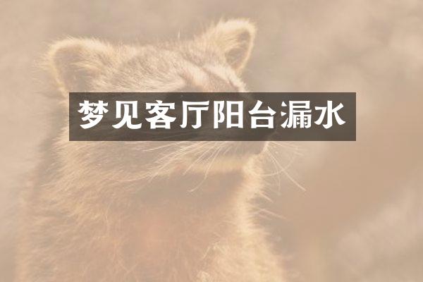 梦见客厅阳台漏水