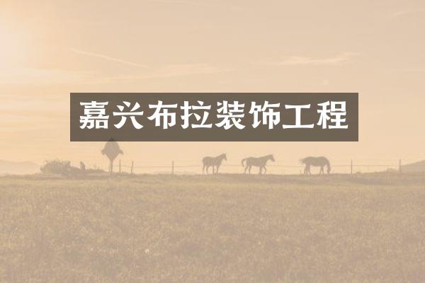 嘉兴布拉装饰工程
