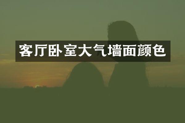 客厅卧室大气墙面颜色