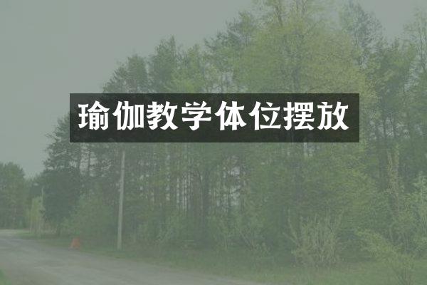 瑜伽教学体位摆放