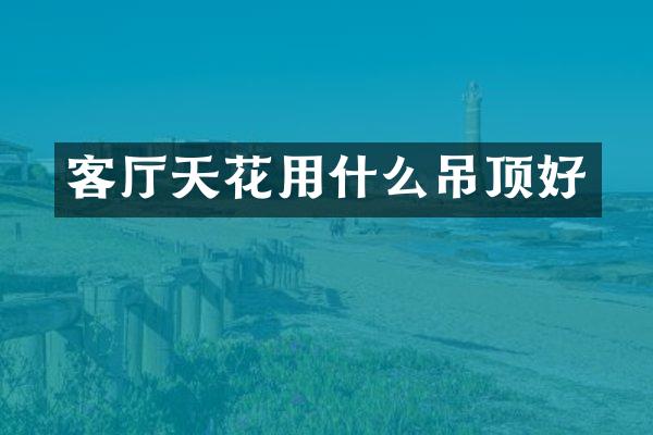 客厅天花用什么吊顶好