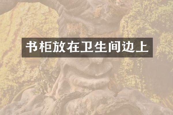 书柜放在卫生间边上