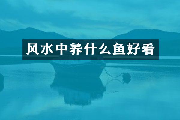 风水中养什么鱼好看