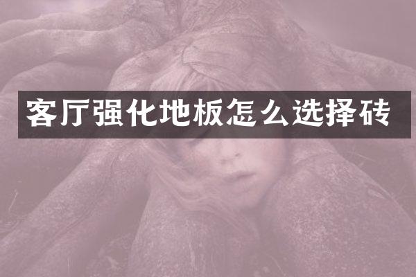 客厅强化地板怎么选择砖