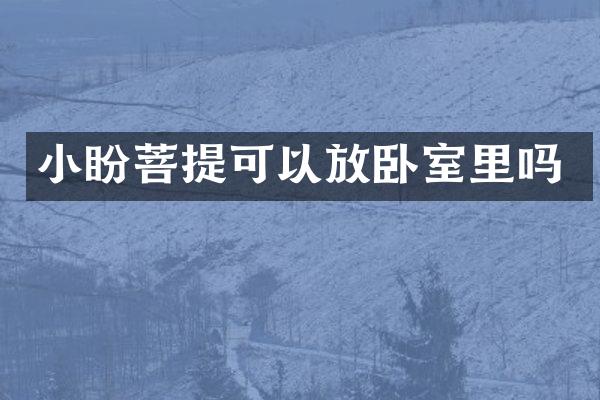 小盼菩提可以放卧室里吗