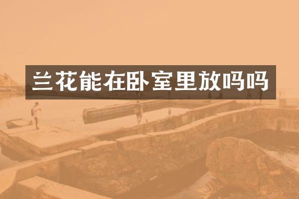 兰花能在卧室里放吗吗