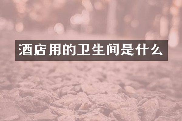 酒店用的卫生间是什么