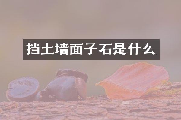 挡土墙面子石是什么