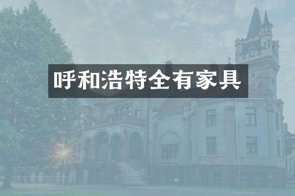 呼和浩特全有家具