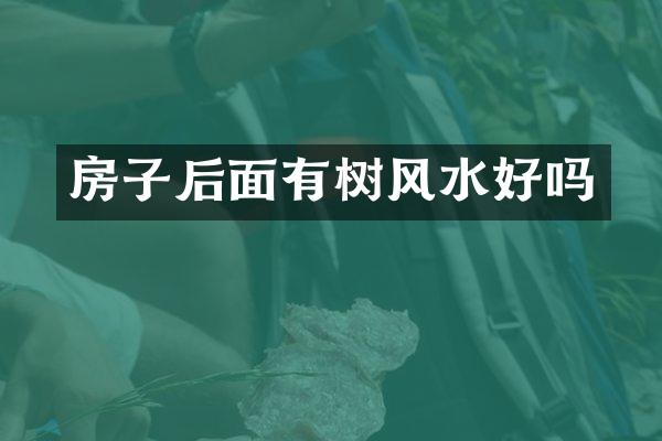 房子后面有树风水好吗