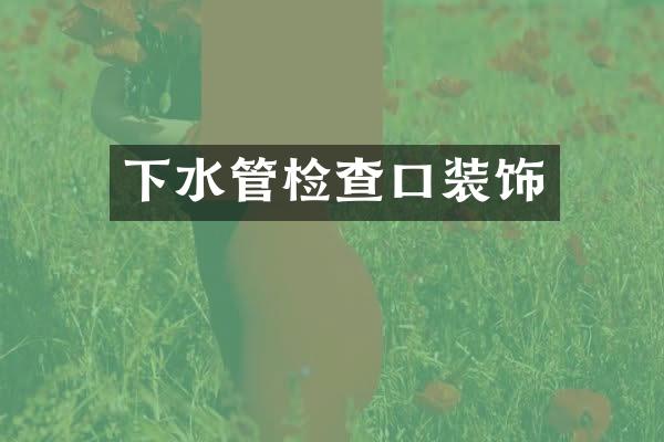 下水管检查口装饰