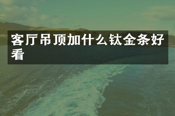 客厅吊顶加什么钛金条好看