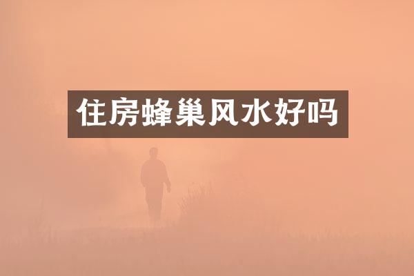 住房蜂巢风水好吗