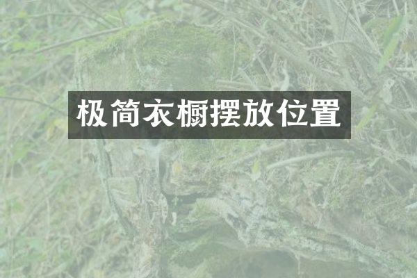 极简衣橱摆放位置