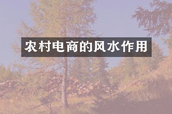农村电商的风水作用