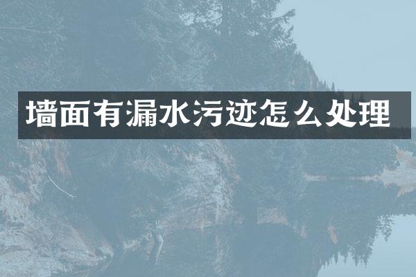 墙面有漏水污迹怎么处理