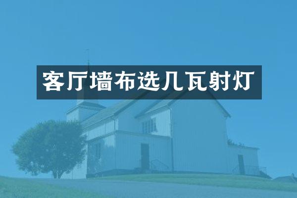 客厅墙布选几瓦射灯