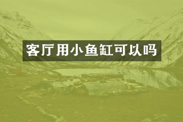 客厅用小鱼缸可以吗