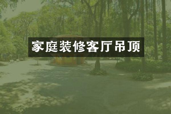 家庭装修客厅吊顶