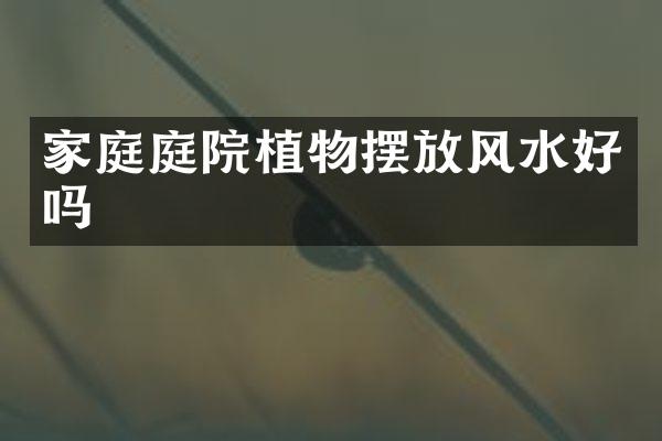 家庭庭院植物摆放风水好吗