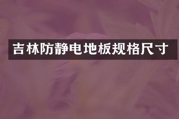 吉林防静电地板规格尺寸
