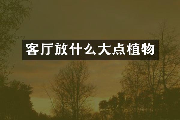 客厅放什么大点植物