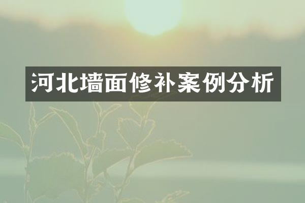 河北墙面修补案例分析
