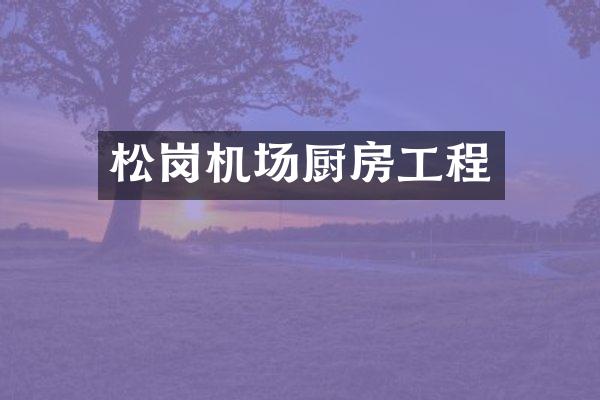松岗机场厨房工程