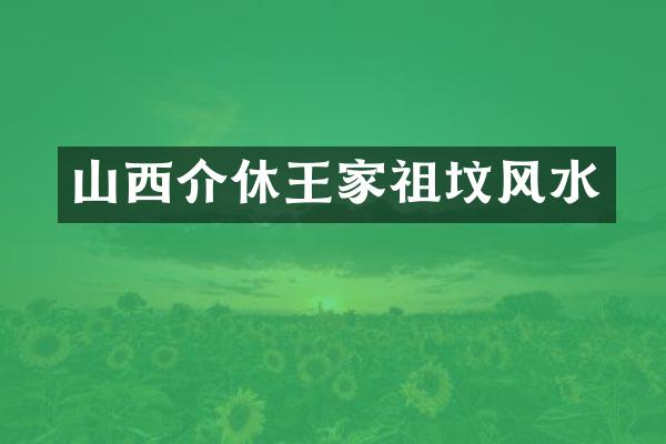 山西介休王家祖坟风水