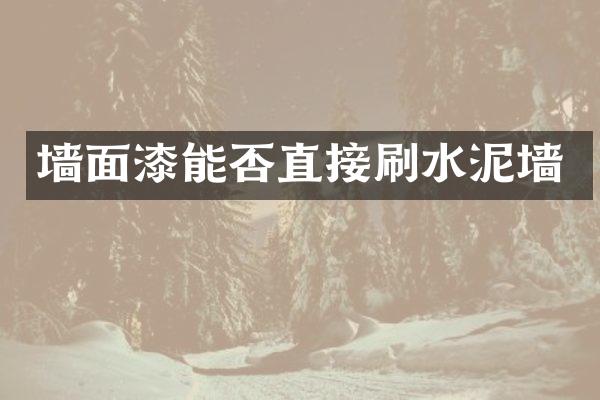 墙面漆能否直接刷水泥墙